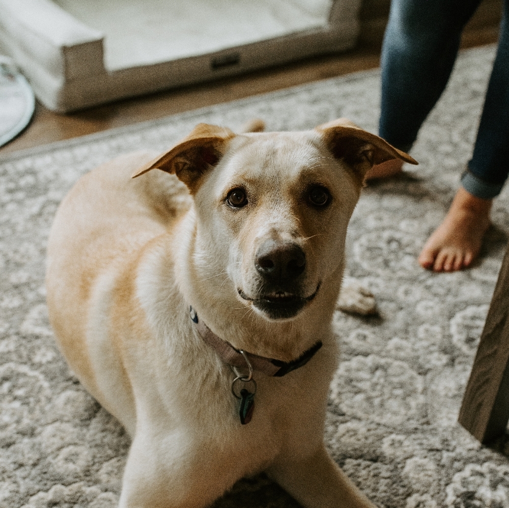 Meet your Posher, Mable